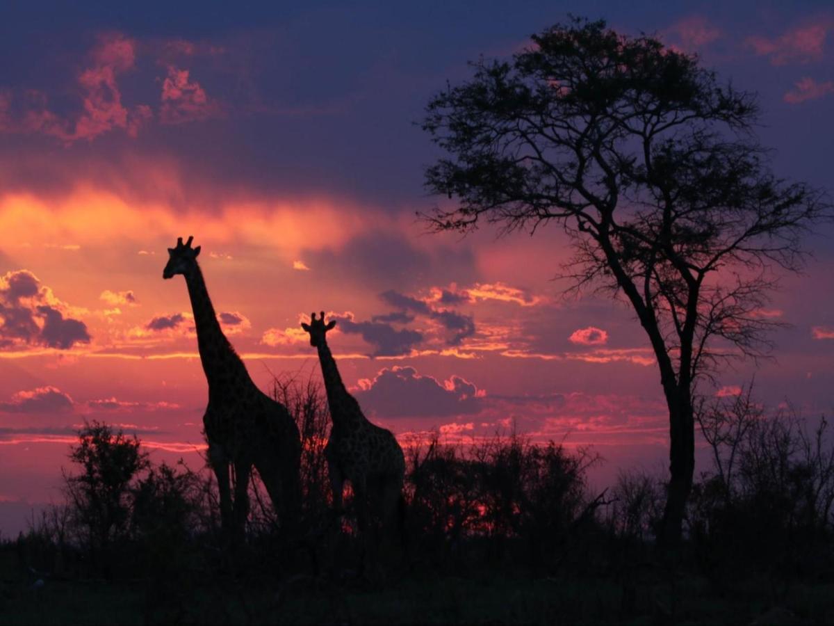 Paradise River Lodge Hoedspruit Zewnętrze zdjęcie