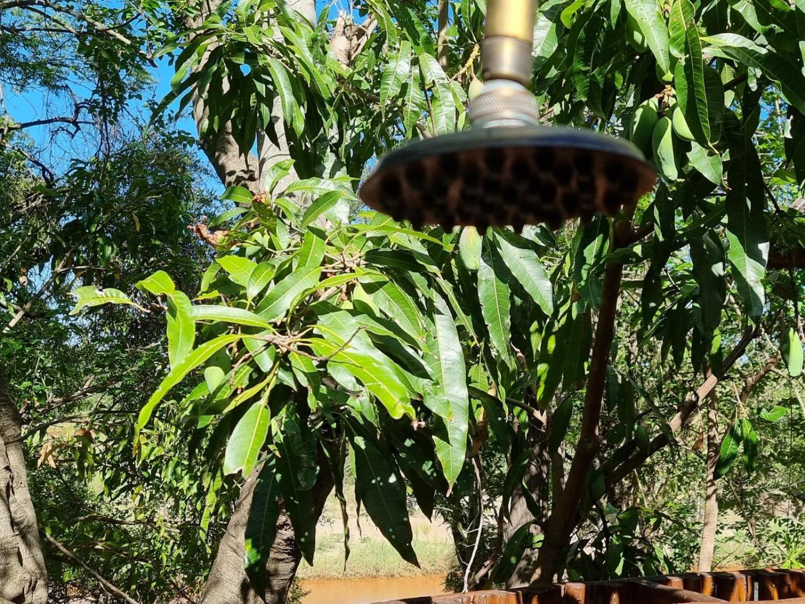 Paradise River Lodge Hoedspruit Zewnętrze zdjęcie