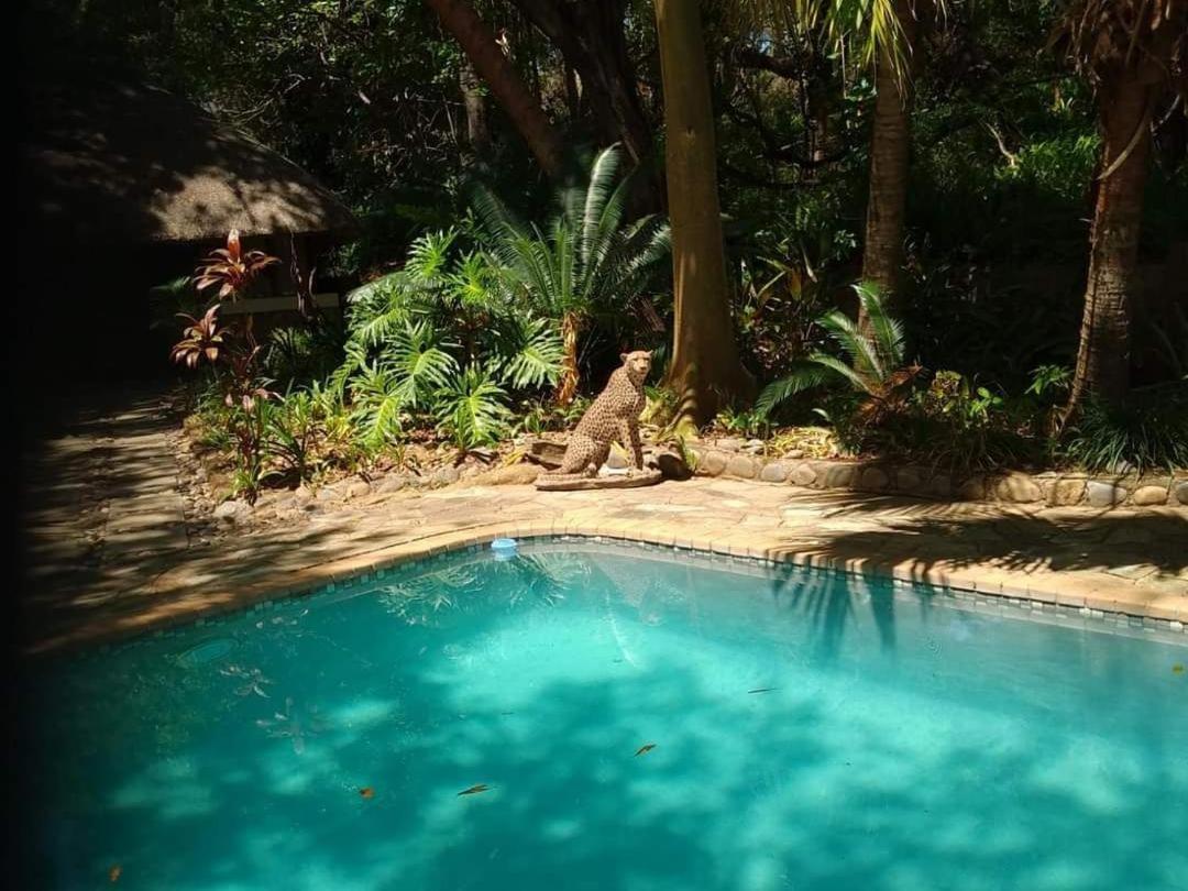 Paradise River Lodge Hoedspruit Zewnętrze zdjęcie